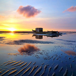 Пазл: Затишье