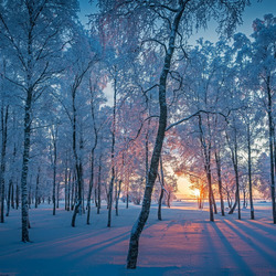 Пазл: Утро зимой