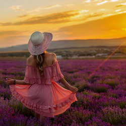 Пазл: Прекрасный закат