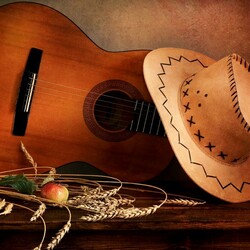 Пазл: Натюрморт с гитарой