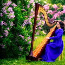 Пазл: Музыка арфы
