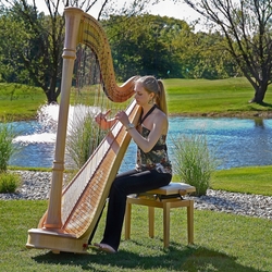 Пазл: Музыка арфы