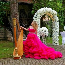 Пазл: Музыка арфы