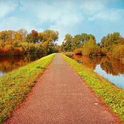 Пазл: Осенняя дорога