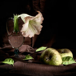 Пазл: Натюрморт 