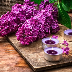 Пазл: Сирень