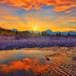 Пазл: Отражение