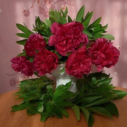 Пазл: Пионы