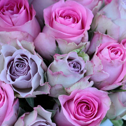 Пазл: Розовый букетик