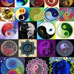 Пазл: Инь-Ян