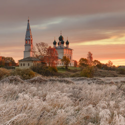 Пазл: Трава осенью
