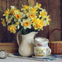 Пазл: Нарциссы