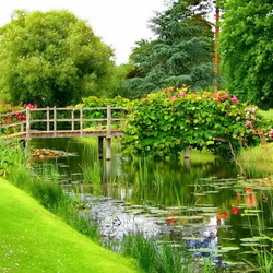 Пазл: Природа