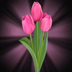 Пазл: Тюльпаны