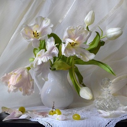 Пазл: Белые тюльпаны 