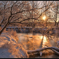 Пазл: Весна