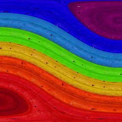 Пазл: Кольца деревьев