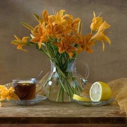 Пазл: Лилейник 