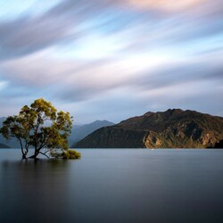 Пазл: Озеро Ванака