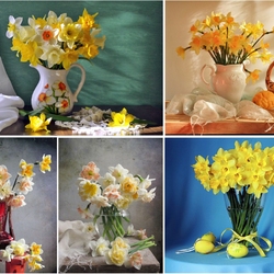 Пазл: Нарциссы