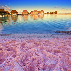 Пазл: Розовый пляж