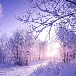 Пазл: Прекрасный рассвет зимой