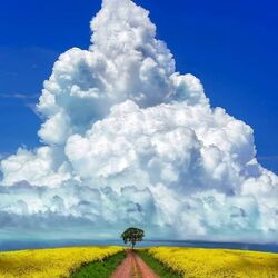 Пазл: Дорога в облака