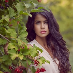 Пазл: За кустом калины