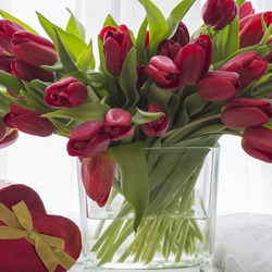 Пазл: Красные тюльпаны