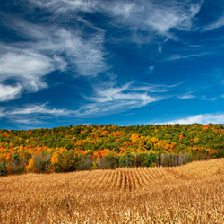 Пазл: Просторные поля