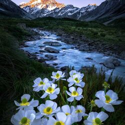 Пазл: Весна в горах