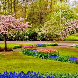 Пазл: Весенний парк