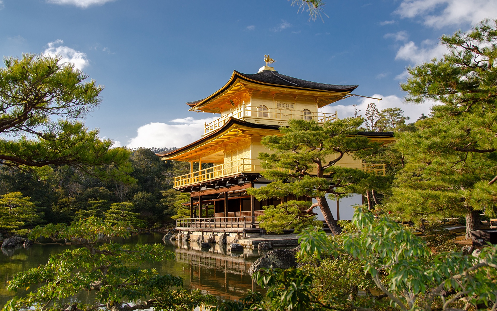 Золотой храм Киото лето