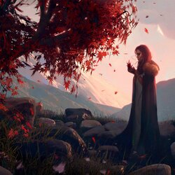 Пазл: Алая осень