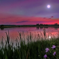 Пазл: Летние закаты