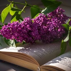 Пазл: Ветка сирени