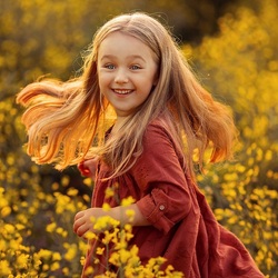 Пазл: В поле травы