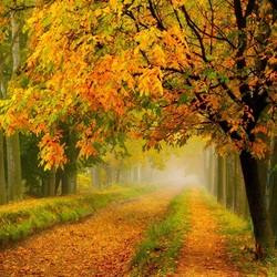 Пазл: Осень