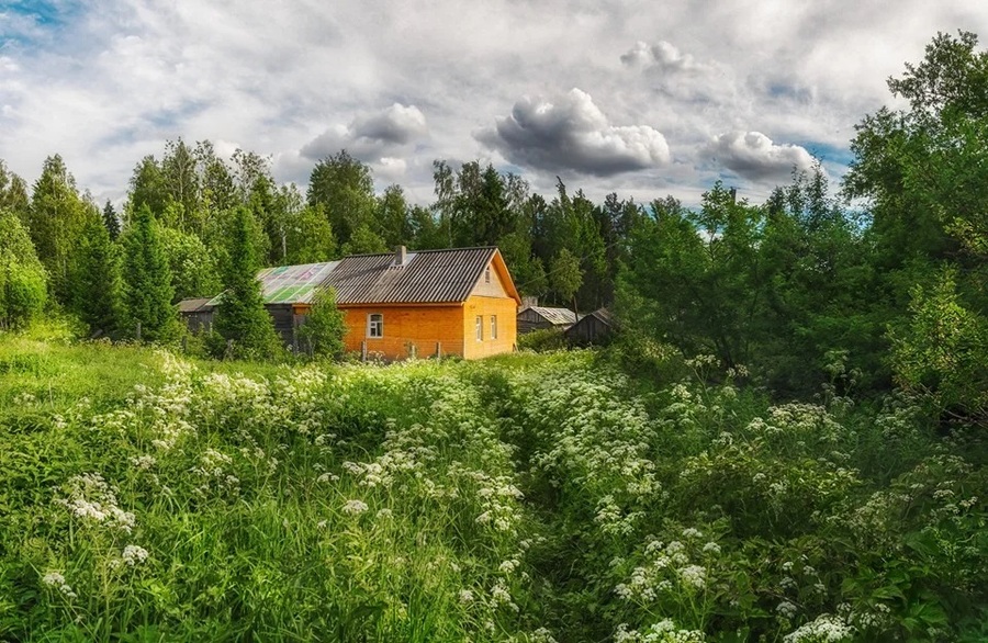 Фото июнь в деревне