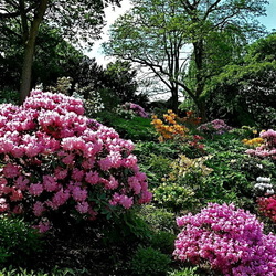 Пазл: Цветущий май