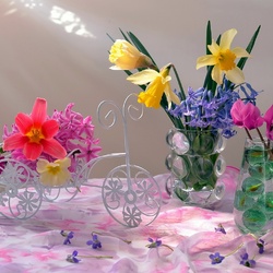 Пазл: Весенняя полянка 