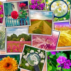 Пазл: Природа