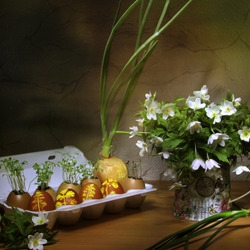 Пазл: Весенний лук