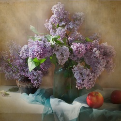 Пазл: Сирень 