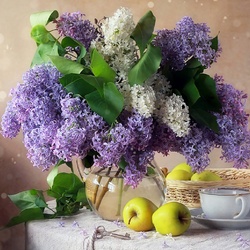 Пазл: Сирень 