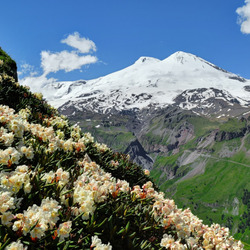 Пазл: Цветущие горы