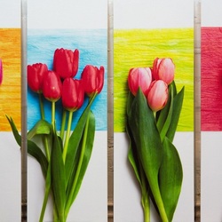 Пазл: Коллаж с тюльпанами