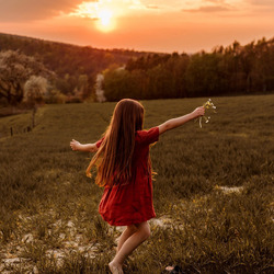 Пазл: Свобода и красота природы