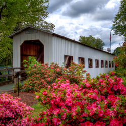 Пазл: Столетний мост