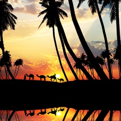 Пазл: Караван пришёл в оазис